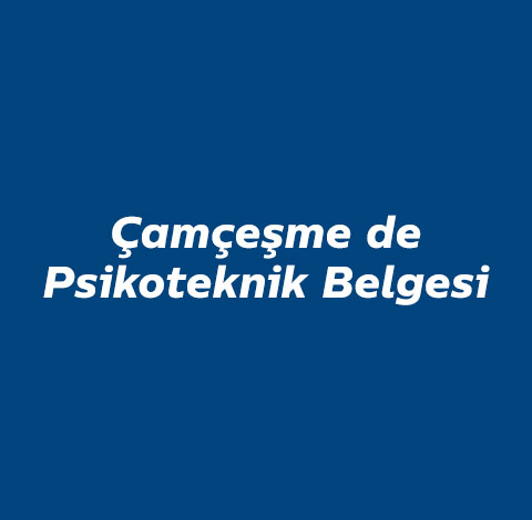 camcesme-de-psikoteknik
