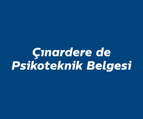 cinardere-de--psikoteknik