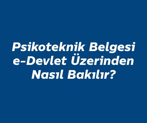 psikoteknik-e-devlet