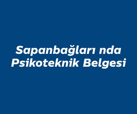 sapanbaglari-nda-psikoteknik